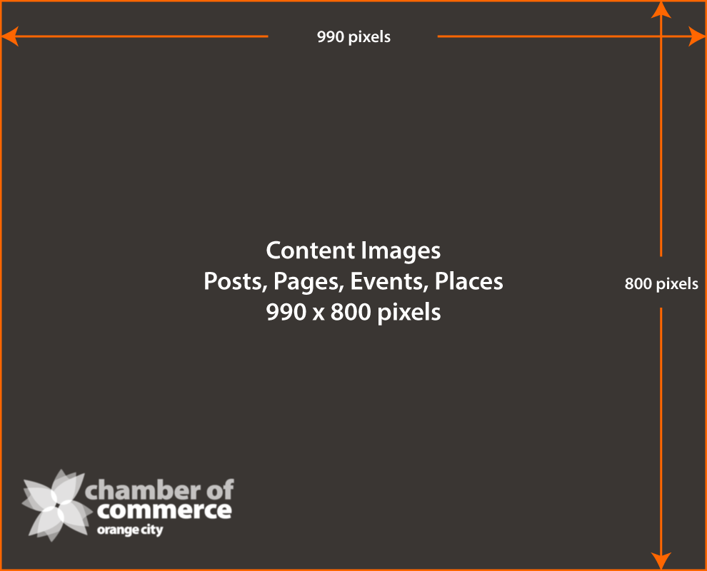 Website-Media-Guidelines-Content-990x800