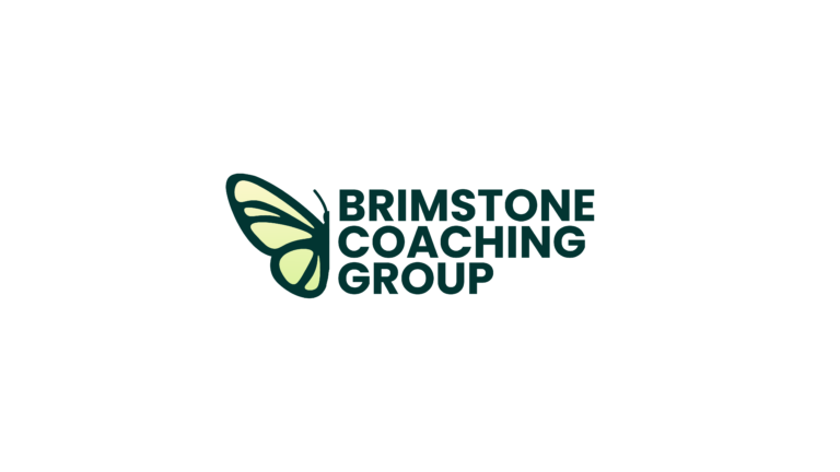 Brimstone Coaching Group990x800 01 768x432